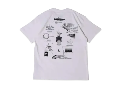 Nike AS M NK NRG Tee Pegasus "White"