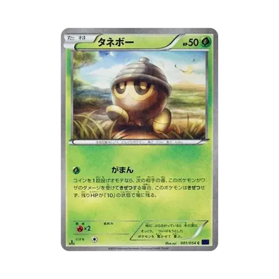 橡實果
