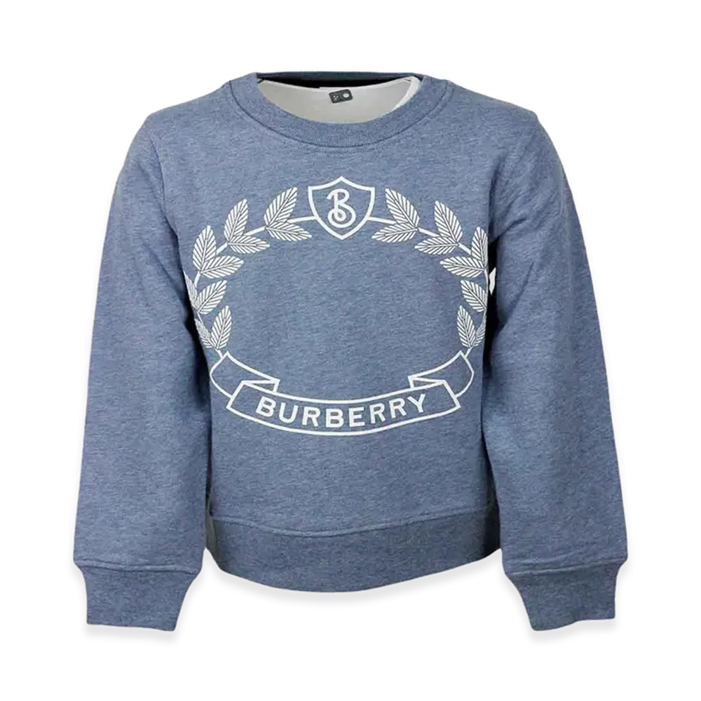 Burberry Kids Sweaters "Clear Blue"