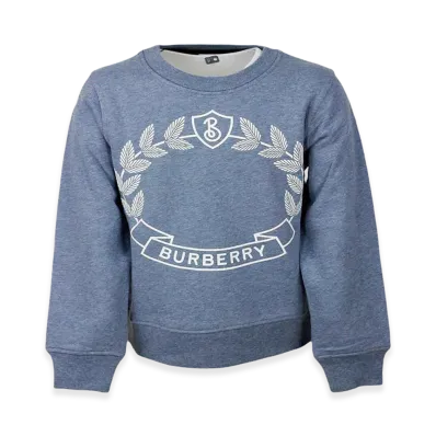 Burberry Kids Sweaters "Clear Blue"