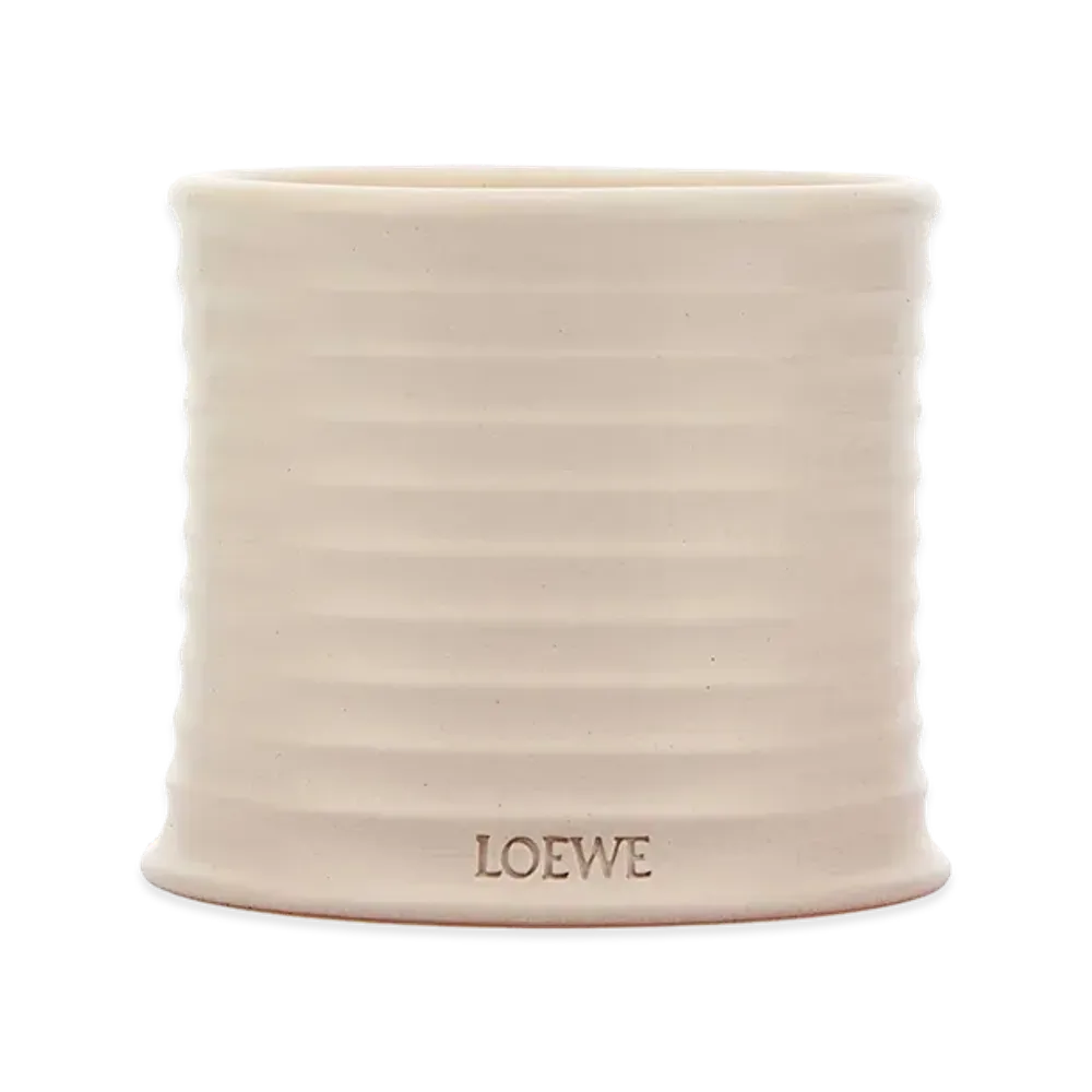 LOEWE Medium Oregano Scented Candle "White"