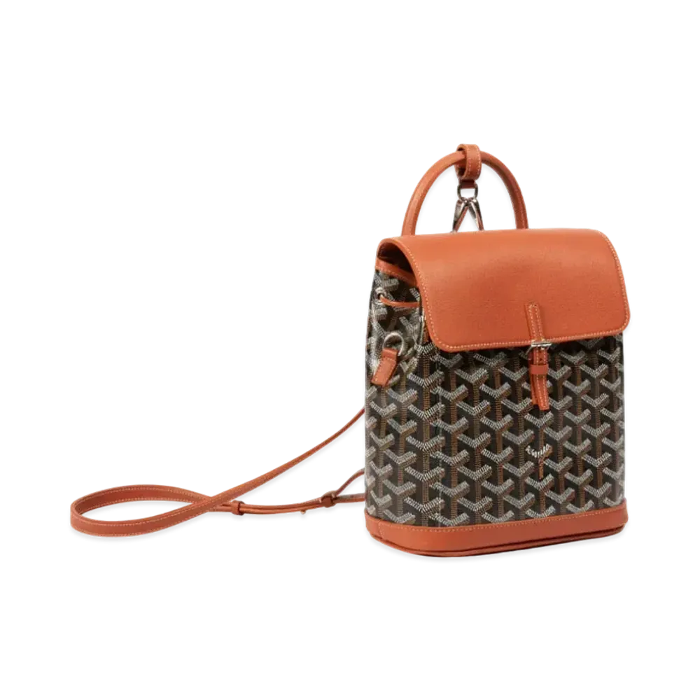 Goyard Alpin Mini Backpack "Black/Brown"