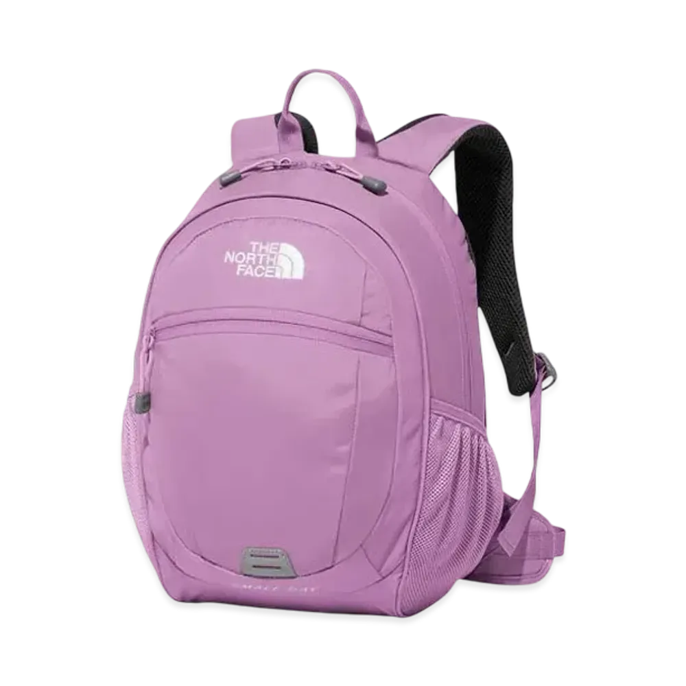 The North Face Kids Small Day "Smoky Grape"