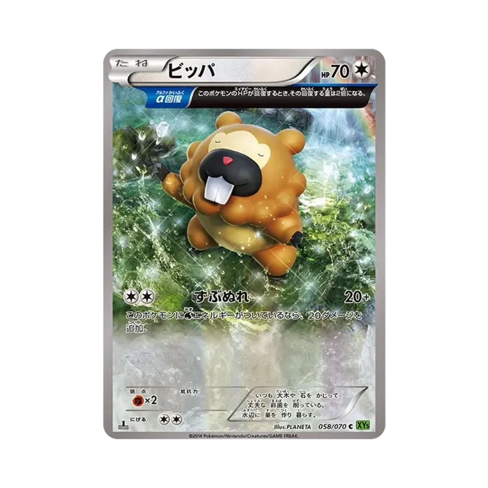 ビッパ C :1ED [XY5 058/070](拡張パック「タイダルストーム」)