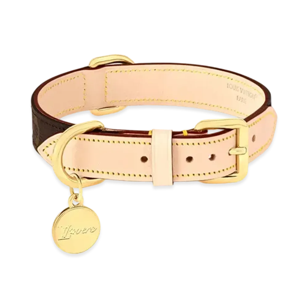 Louis Vuitton Dog Collar PM Monogram