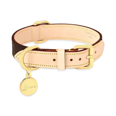 Louis Vuitton Dog Collar PM Monogram