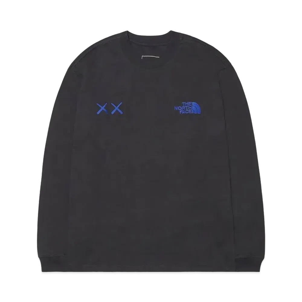 The North Face Kaws L/S Tee "Asphalt Grey"
