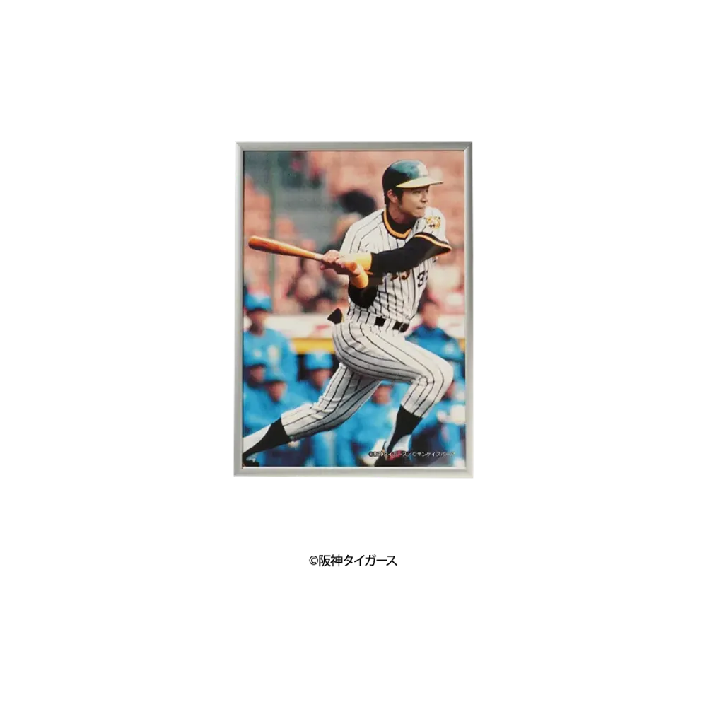 阪神タイガース90周年記念 \ SANKEI SPORTS TIGERS LEGENDS Photo Frame A3 ver. No.7 "MULTI"