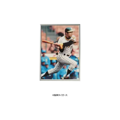 阪神タイガース90周年記念 \ SANKEI SPORTS TIGERS LEGENDS Photo Frame A3 ver. No.7 "MULTI"