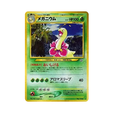 ポケモンカード ネオ 拡張パック 第1弾 金、銀、新世界へ パック ポケモンカード ネオ 拡張パック 第1弾 金、銀、新世界へ パック