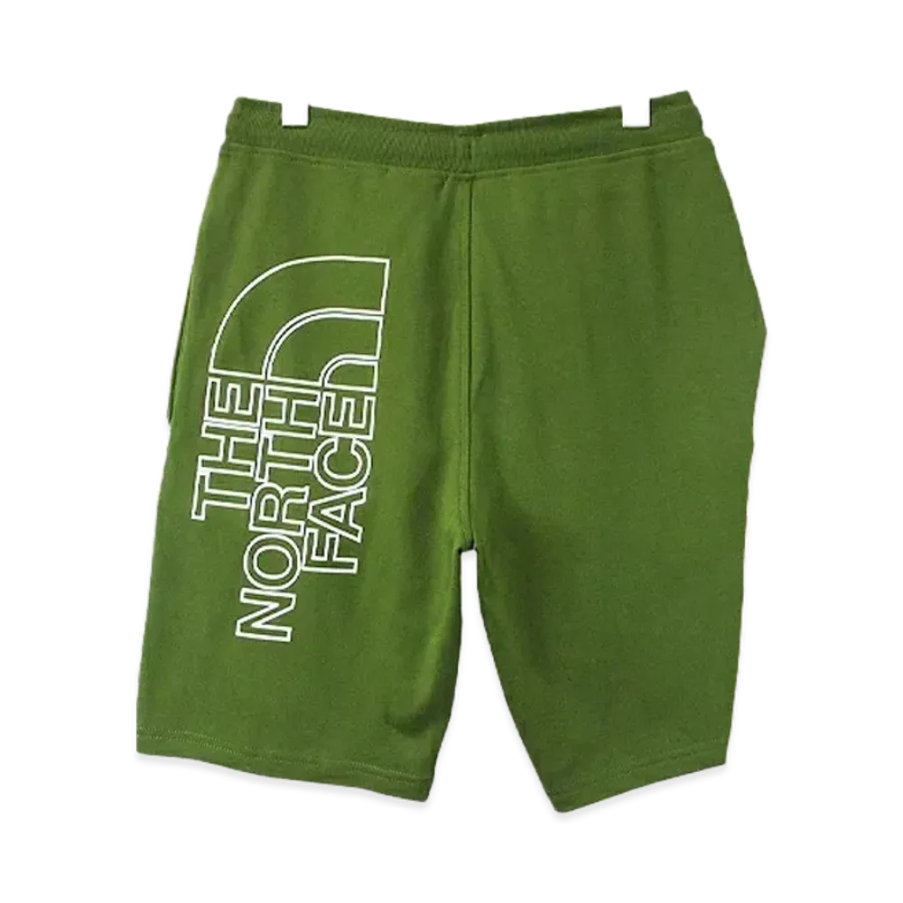 The North Face M Graphic Short Light "Forest Olive"