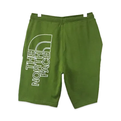 The North Face M Graphic Short Light "Forest Olive"