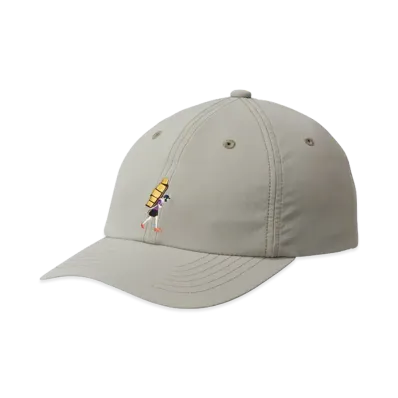 The North Face Flexible Graphic Cap "Clay Grey"