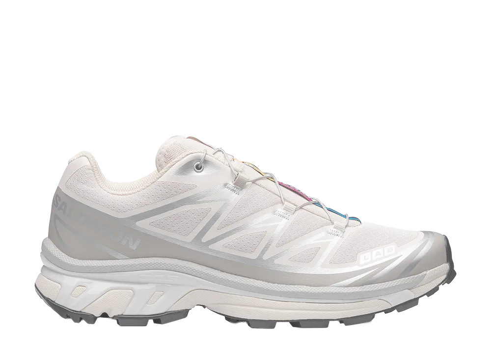Salomon XT-6 "Rainy Day/Paloma"