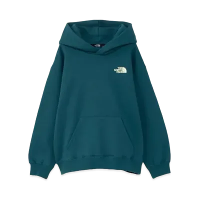 The North Face Never Stop Ing Hoodie Kids "AD Green"