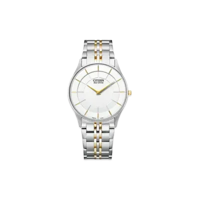 CITIZEN COLLECTION AR3014-56A