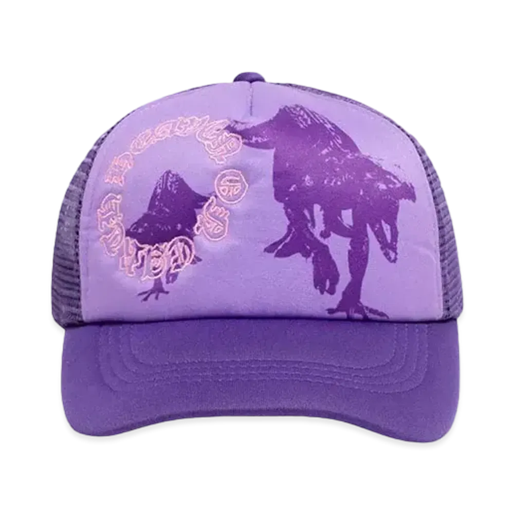 Erehwon Heaven on Earth Raptors Hat "PURPLE"