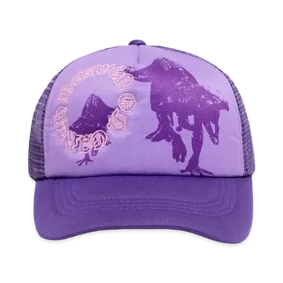 Erehwon Heaven on Earth Raptors Hat "PURPLE"