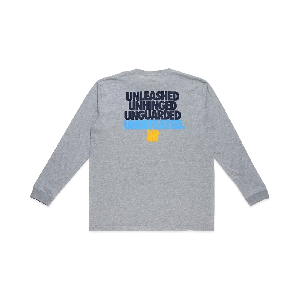 UNDEFEATED UNLEASHED L/S TEE - UL21007 "Gray"