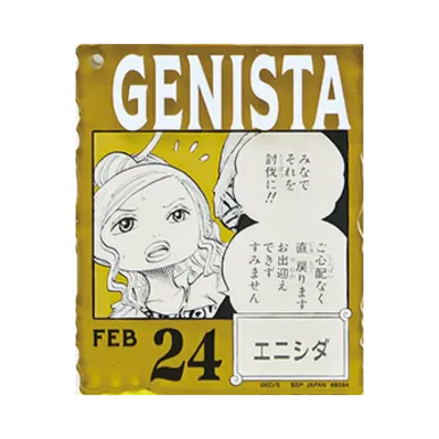 BANDAI "Ichiban Kuji" -ONE PIECE BASE SHOP Lottery 366DAYS OF BIRTHDAYS- Birth Month January-March Shin Colors Acrylic Block Charm Prize 2/24 Genista