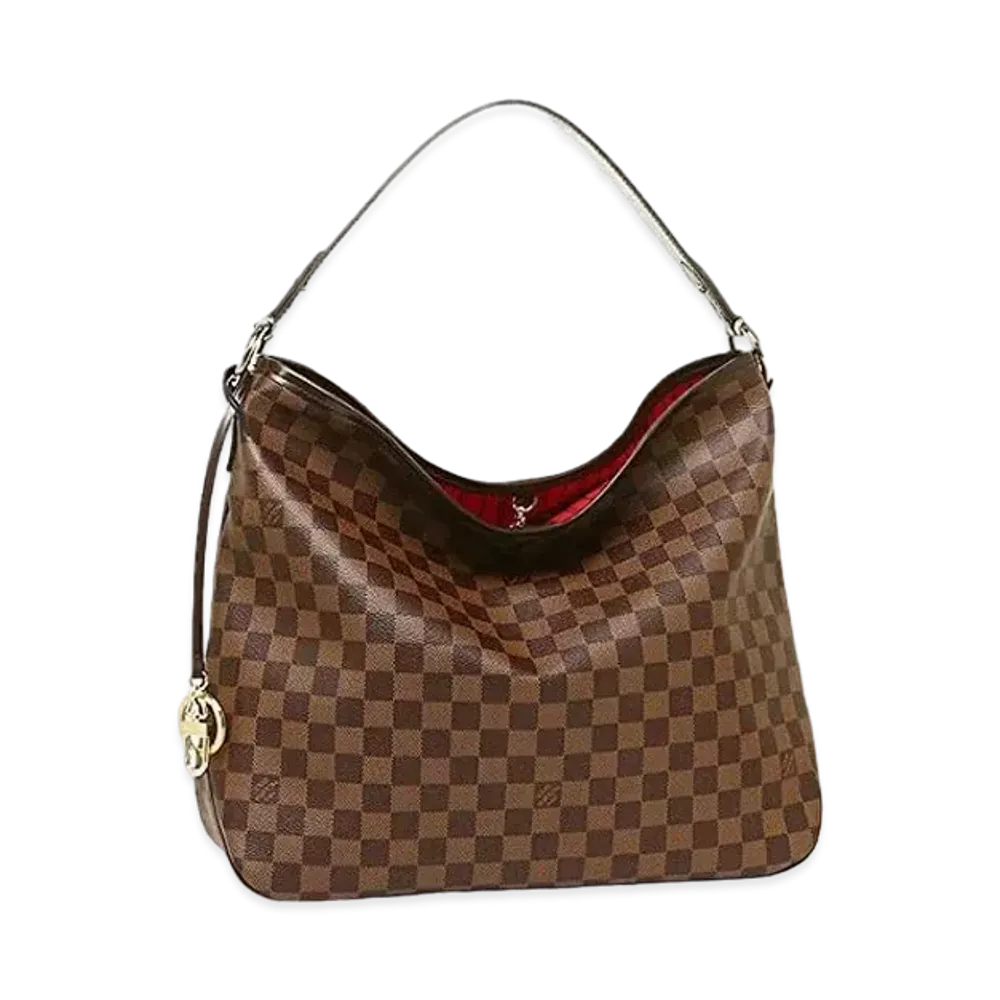 Louis Vuitton Delightful MM Damier