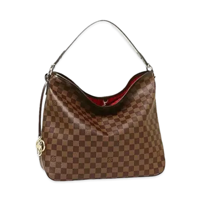 Louis Vuitton Delightful MM Damier