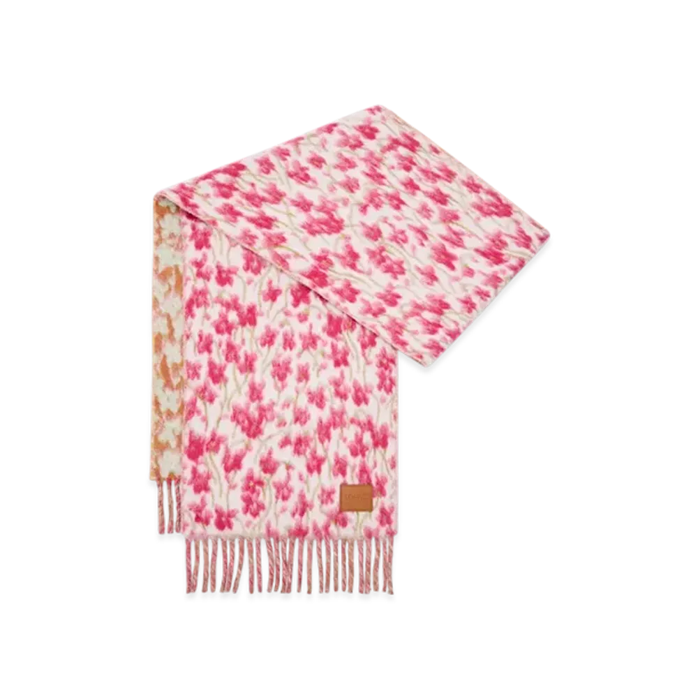 LOEWE Scarf "Pink/Multicolor"