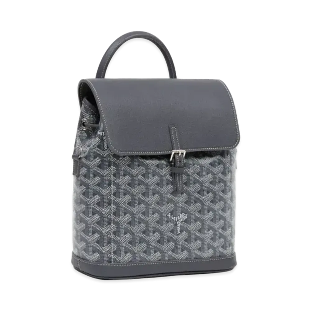Goyard Alpin Mini Backpack "Gray"