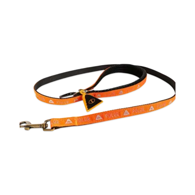 POLeR Dog Leash For Small Dogs "Orange"