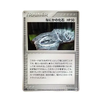 神秘的な化石