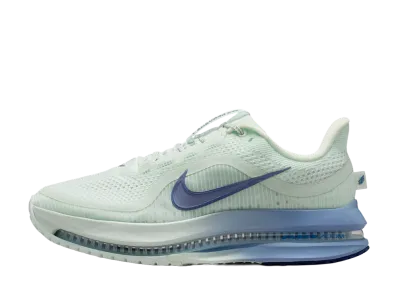 Nike Women's Pegasus Premium "Barely Green/Work Blue"