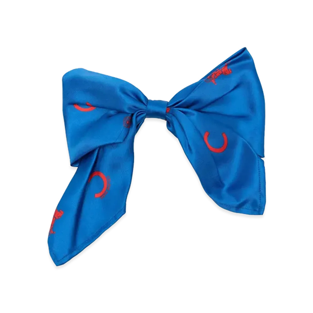 CELINE Women's Capsule Accessories "Blue"