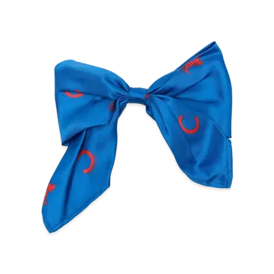 CELINE Women's Capsule Accessories "Blue"