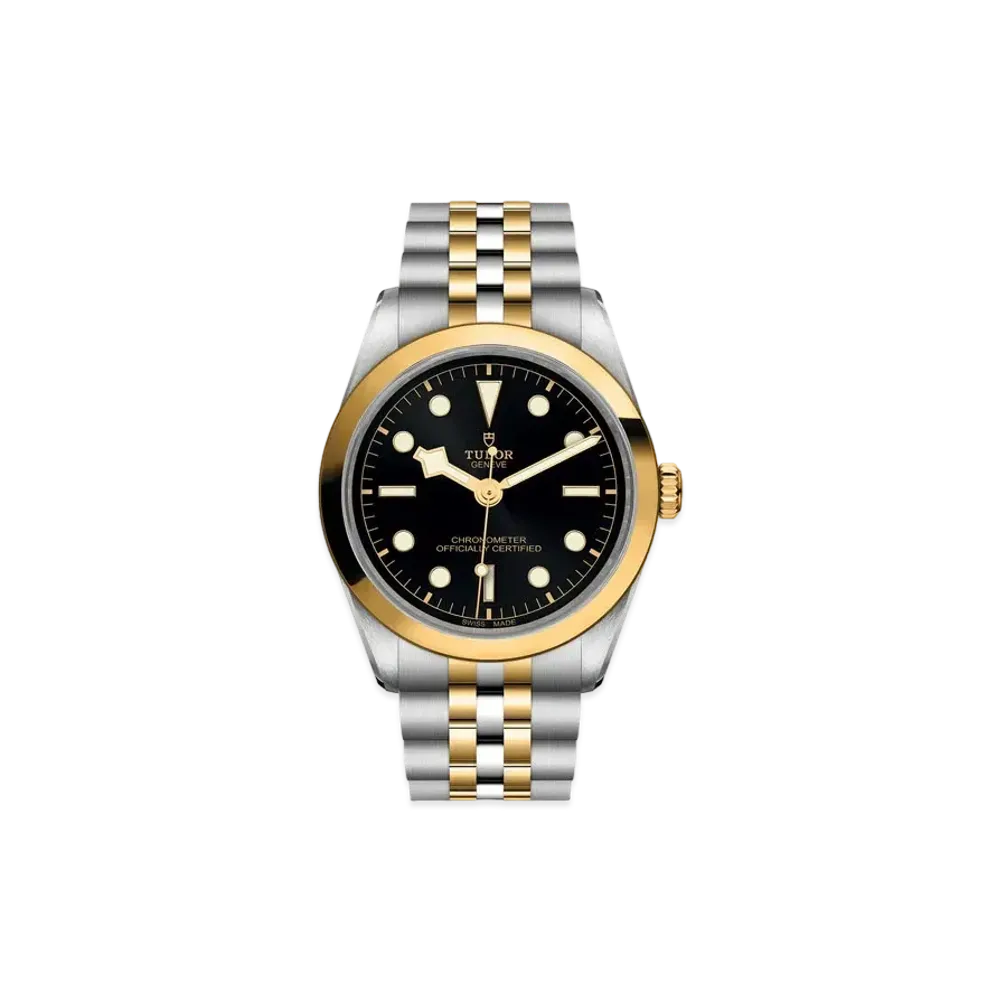TUDOR BLACK BAY 36 S&G