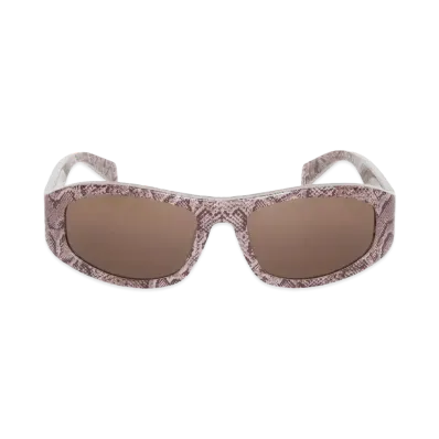 Stussy Landon Sunglasses "Snake Skin/Brown Lens"