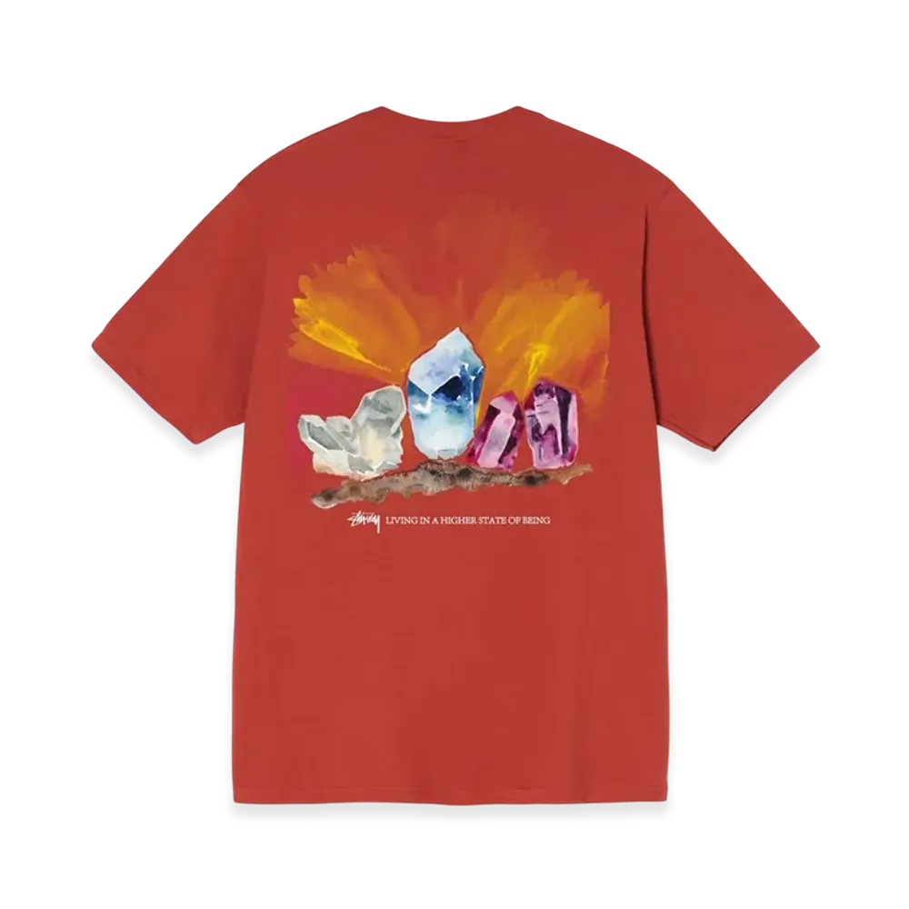 Stussy Higher State Tee "Brick"