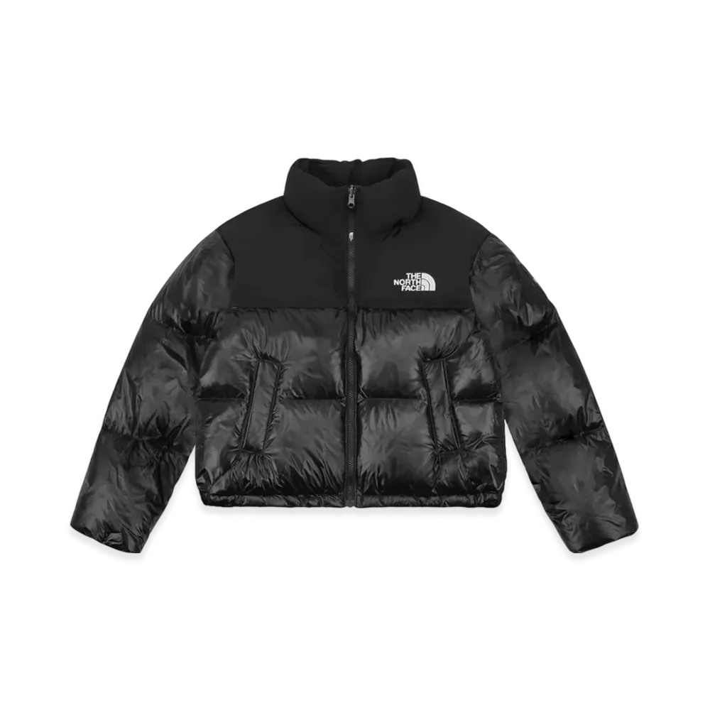 The North Face Novelty Nuptse Down Jacket SP (W) "Black"