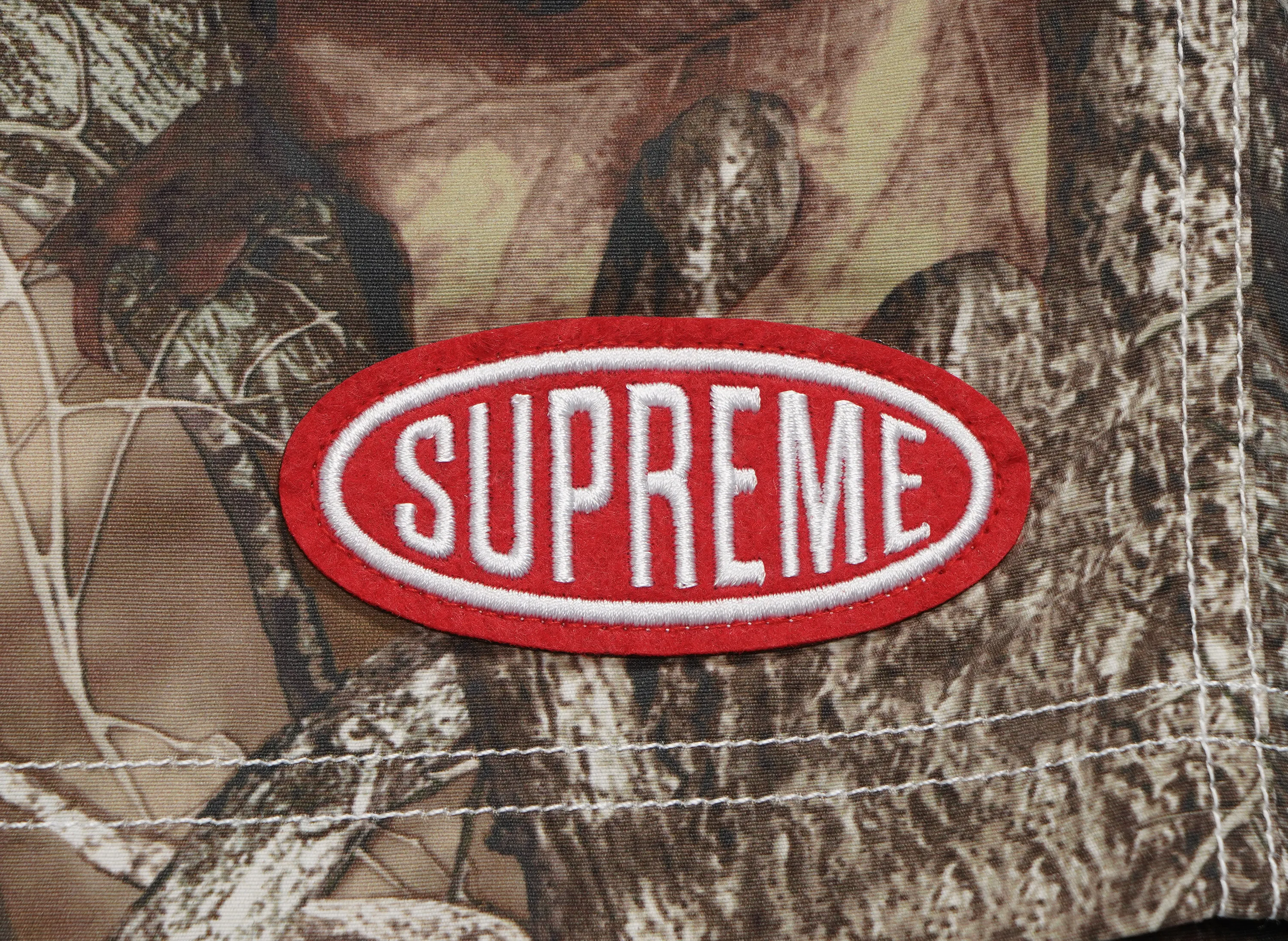 Supreme Nylon Painter Short 