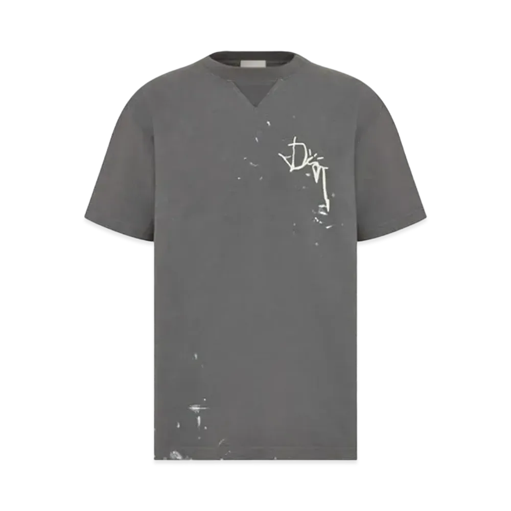 Dior x Cactus Jack Oversize T-Shirt "Gray"