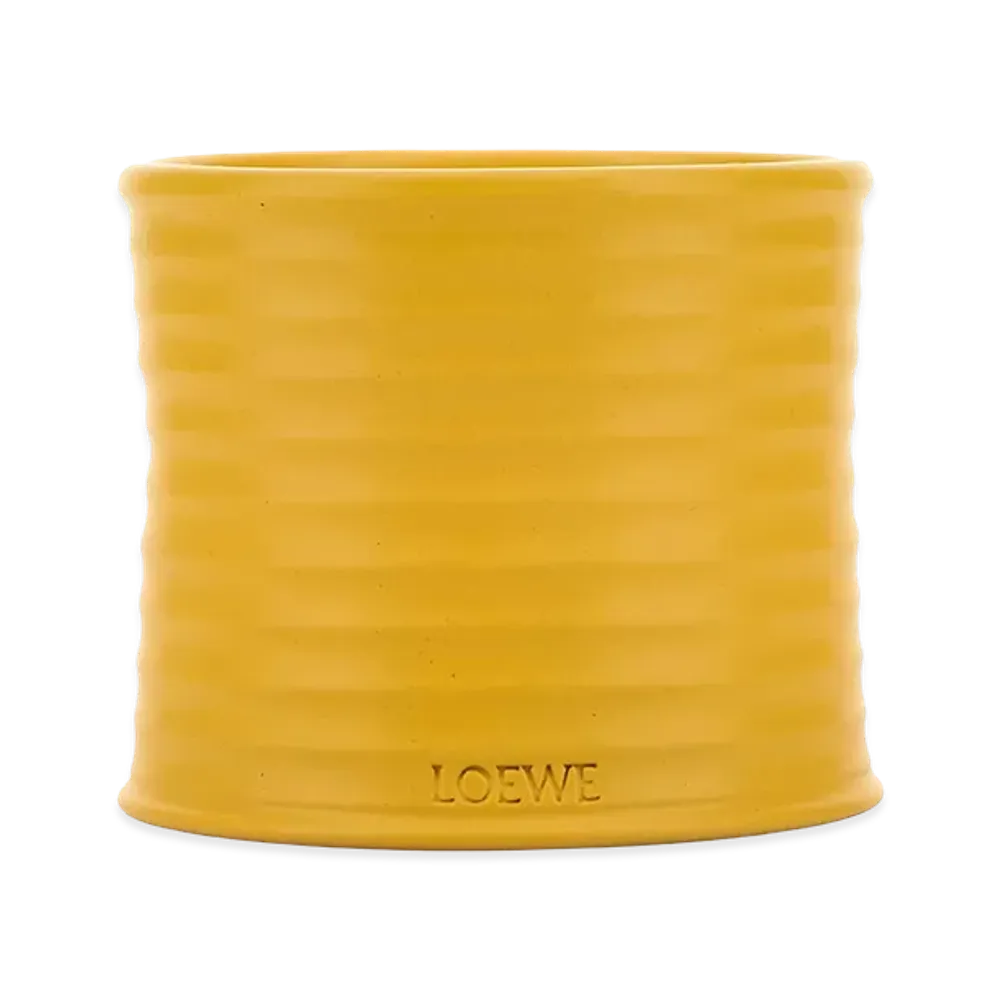 LOEWE Medium Wasabi Scented Candle "Yellow"