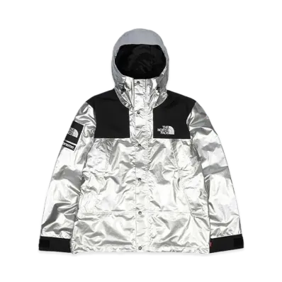 Supreme x The North Face Metallic Mountain Parka "Silver"