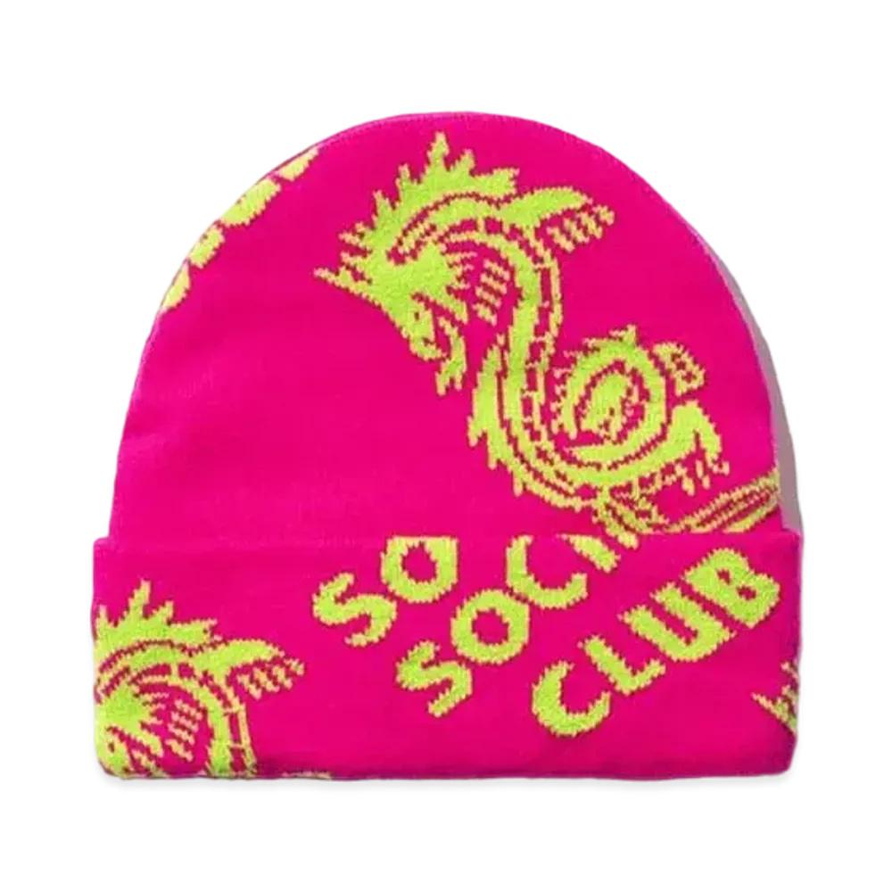 ANTI SOCIAL SOCIAL CLUB Garden Grove Knit Cap "Pink" (FW20)