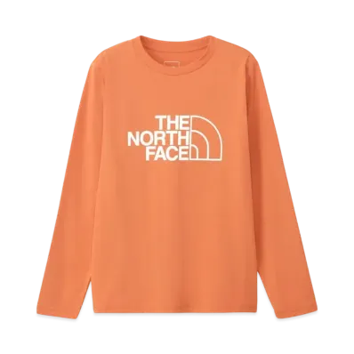 The North Face Long Sleeve ES Big Logo Tee "Faded Iron Bronze"