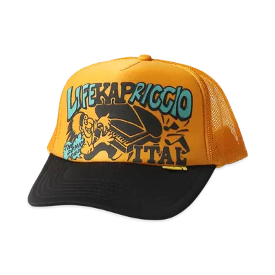 KAPITAL Life KAPRICCIOpt Truck Cap "Gold/Black"