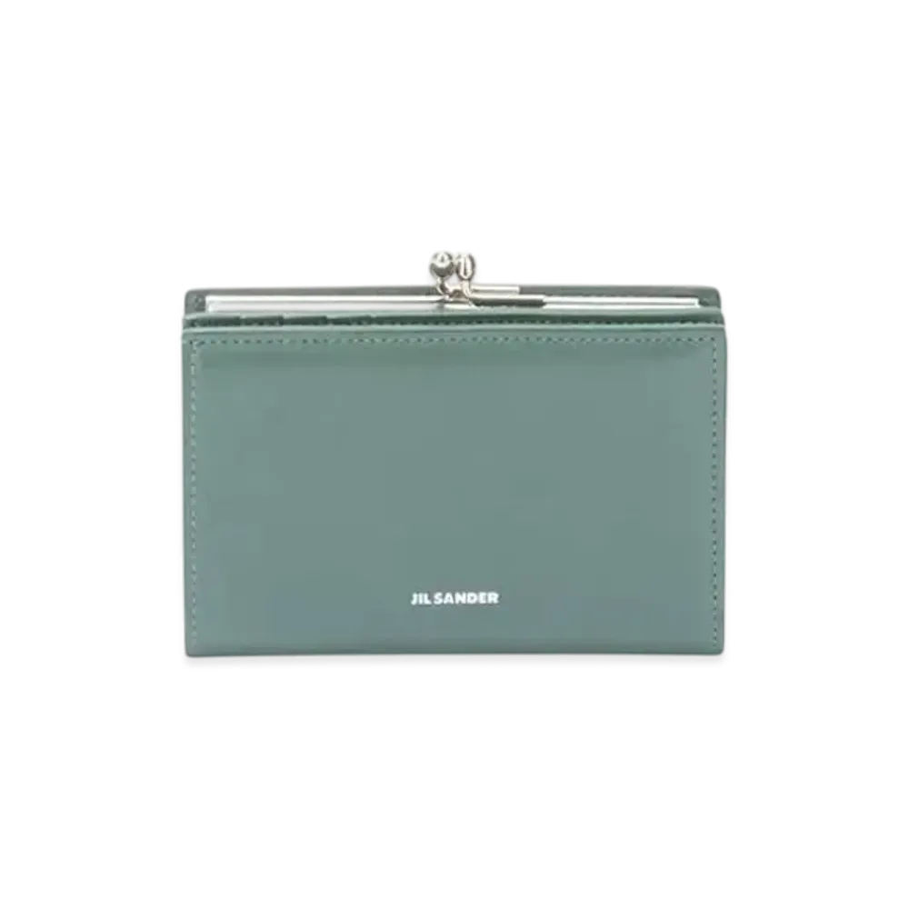 Jil Sander Goji Purse Small "Seaweed"