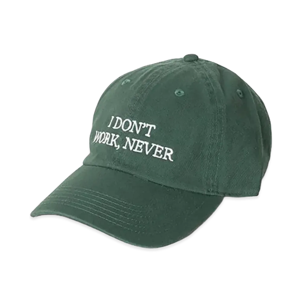 Do Nothing Congress "I DON’T WORK NEVER" "Green"