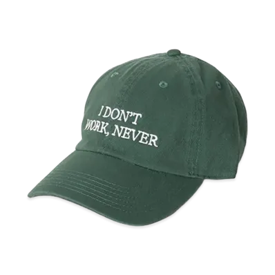 Do Nothing Congress "I DON’T WORK NEVER" "Green"