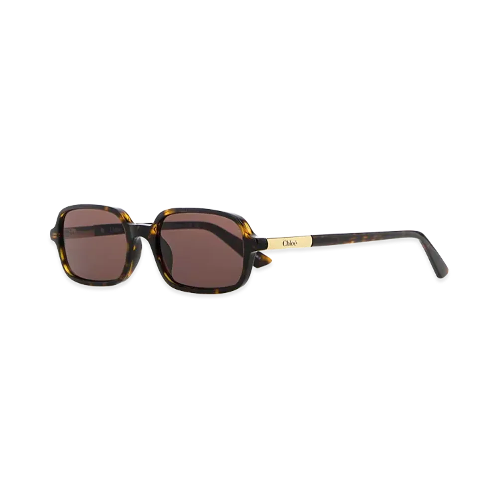 Chloe Women's Printed Acetate Sunglasses "Brown"