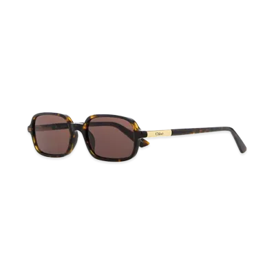 Chloe Women's Printed Acetate Sunglasses "Brown"