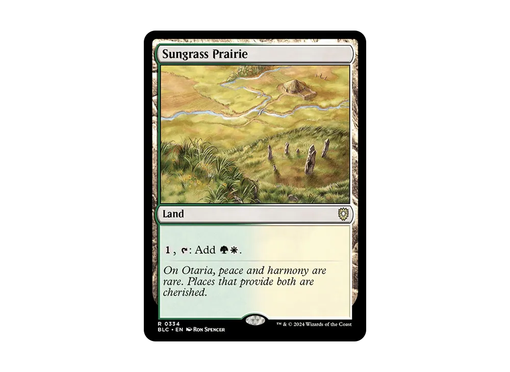 サングラスの大草原 R [BLC 0334]【英語版】(ブルームバロウ)